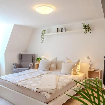 Apartment N50 Im Herzen Der Erfurter Altstadt Экстерьер фото
